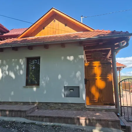 Hanna Vendeghaz Bujak